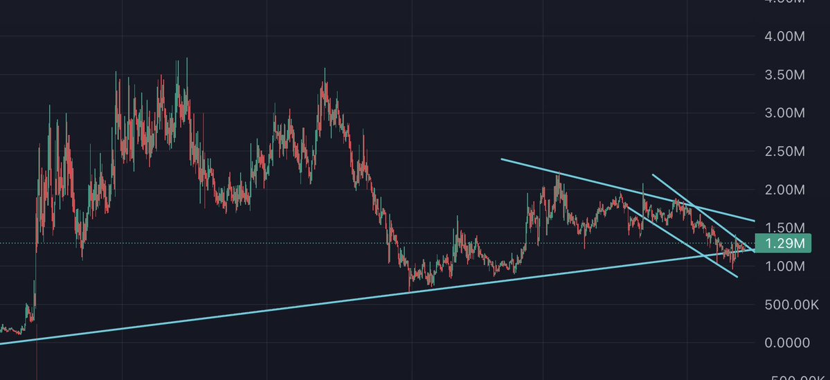 slingoor tweet media