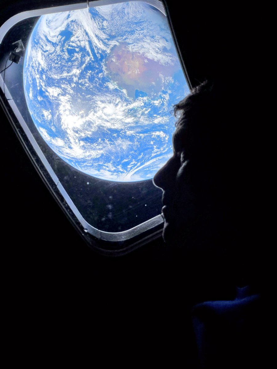 magaman2.0🇺🇸🌲 tweet media