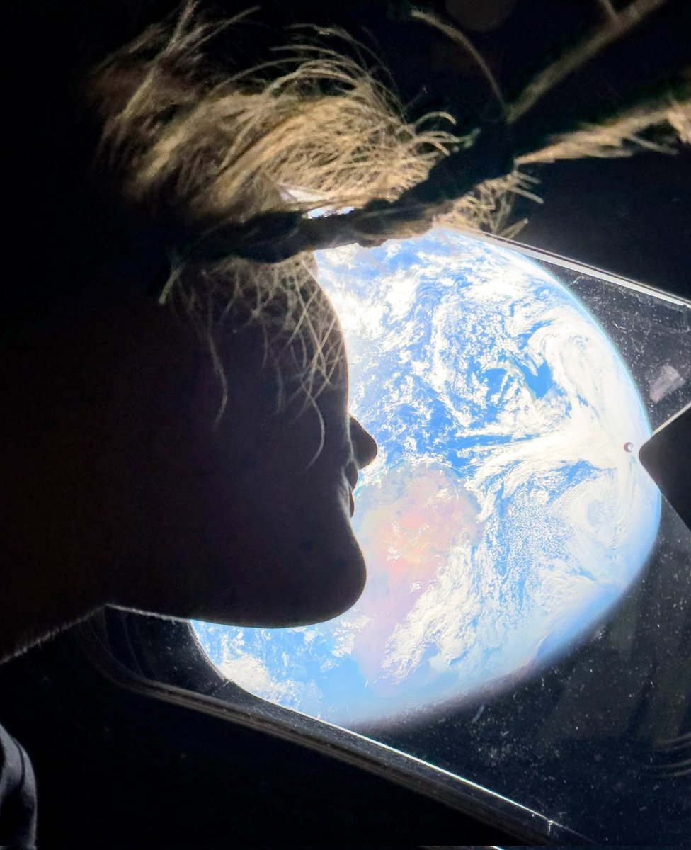 magaman2.0🇺🇸🌲 tweet media