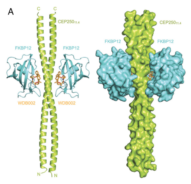 William Gibson tweet media