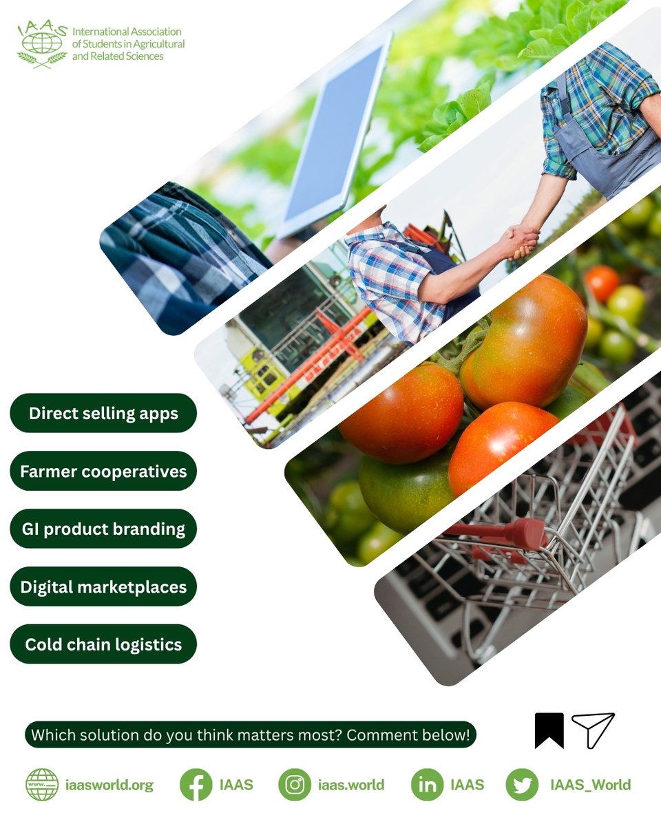 IAAS World tweet media
