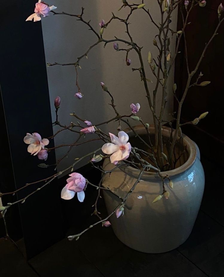 Kariva's tweet image. “should i go home?” 𑁍.⠀⠀／ #question&amp;amp; 🛋️🍬 i kept asking, like a loop i didn’t want to break. but there was no real answer.. because i wasn’t ready (of coursee). i was still happy there, still soaking it in. plus, let’s be honest, when your photos eat like that, you stay. 📣