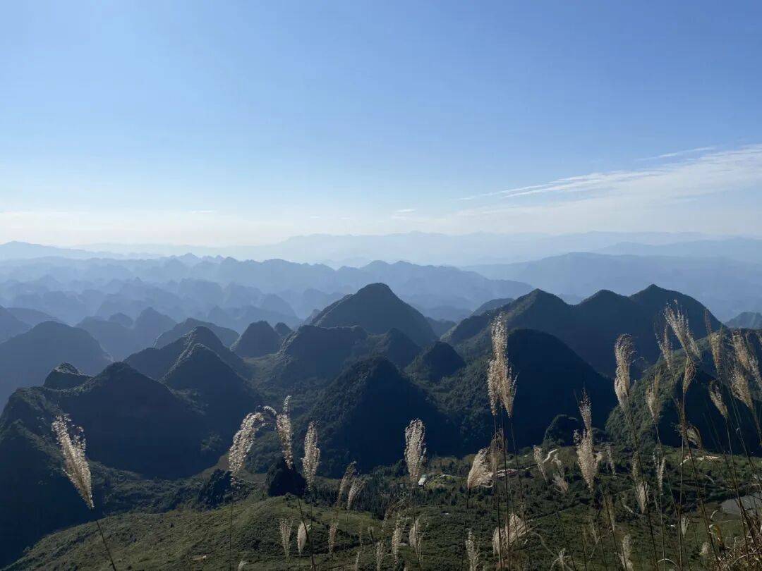 White devil 👿👿👿 tweet media