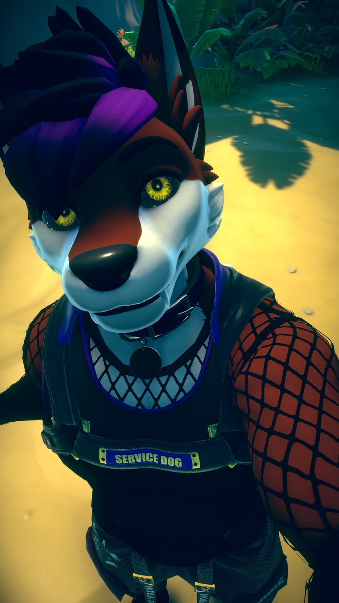 RumoreTheFolf's tweet photo. Beach doggo

#vrchat #furry https://t.co/YGOTQhDxVF