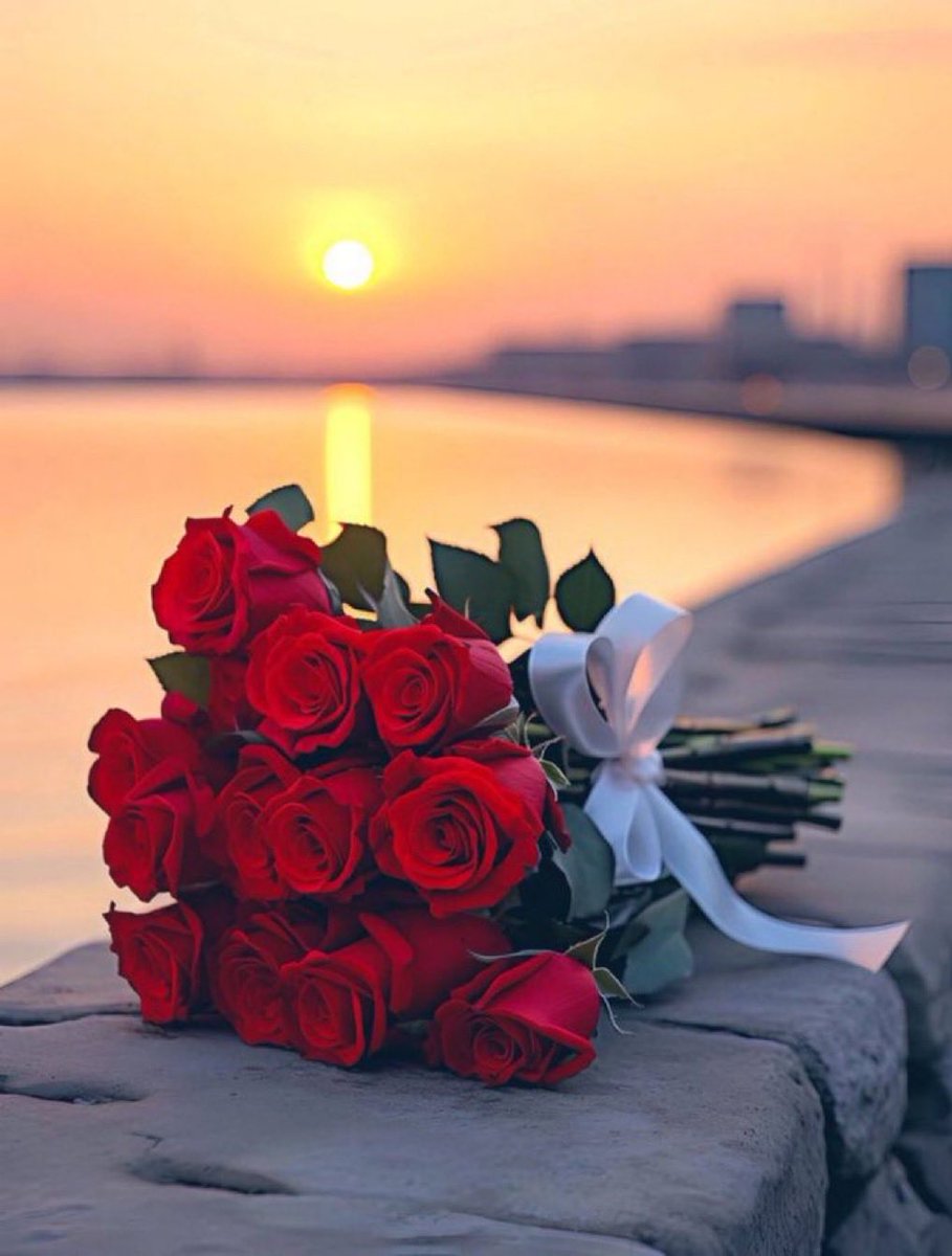 💞گوين💞 tweet media