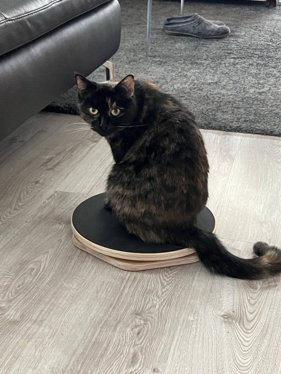 IntercessorTeam tweet media