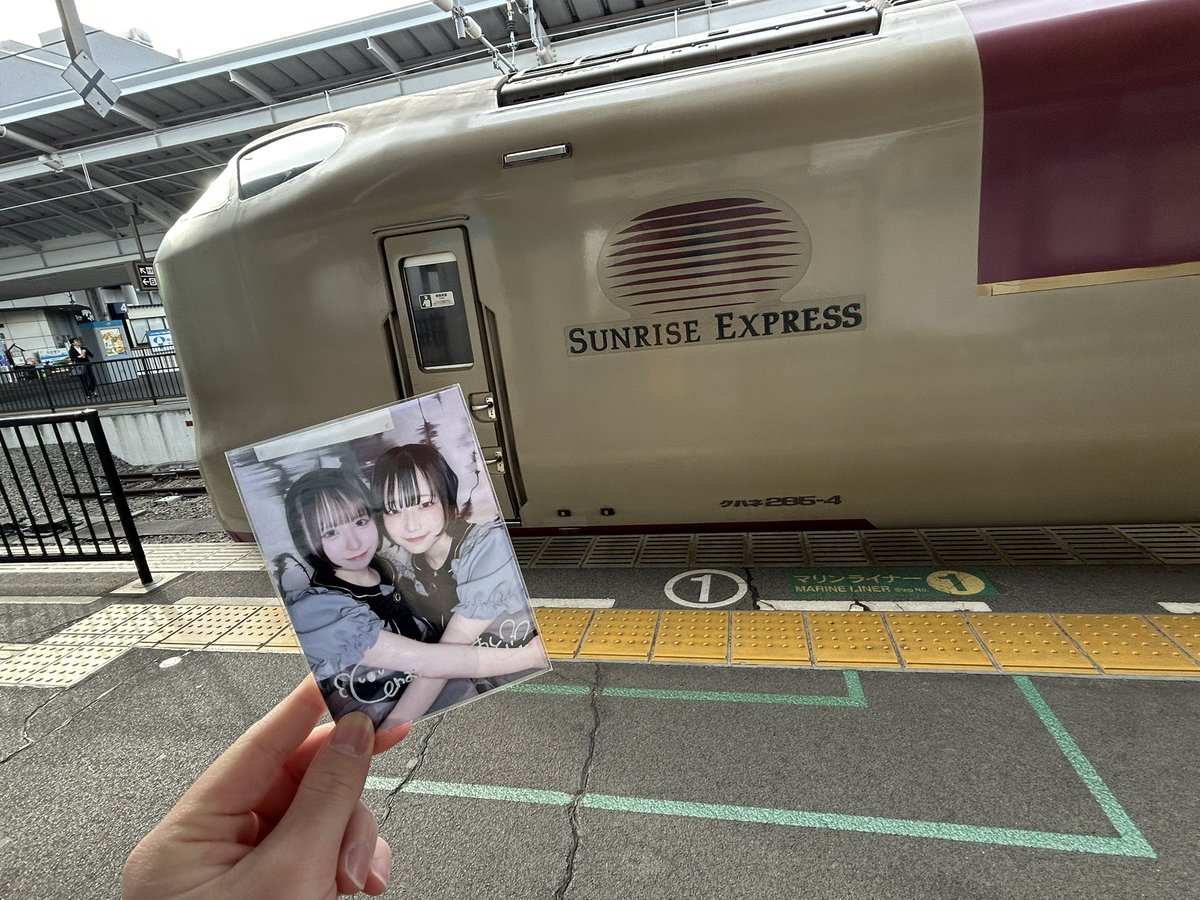 急乗承（しまたつ） tweet media