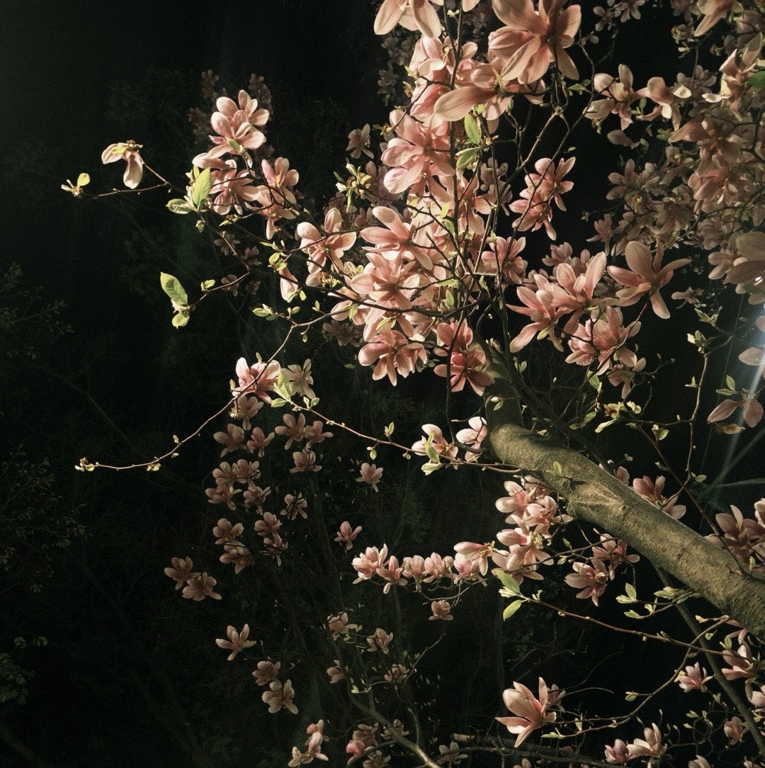 춘장에양파 tweet media