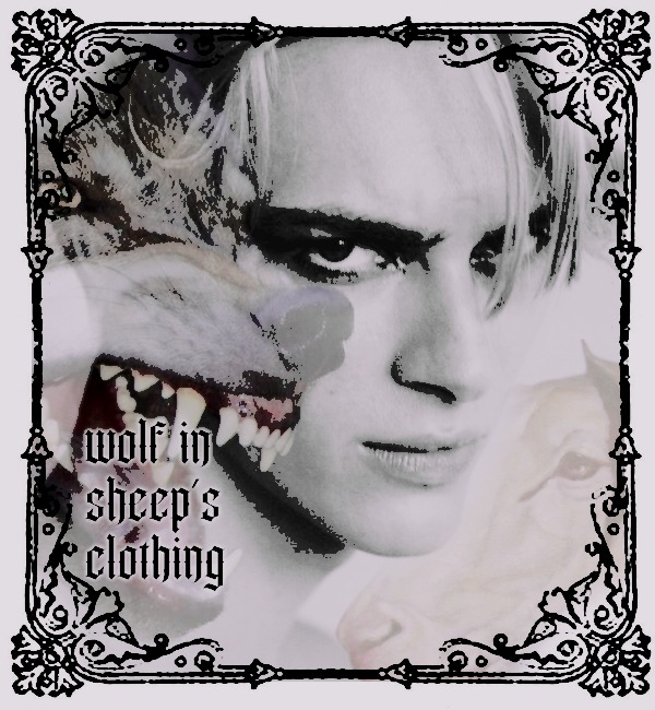 ๐ต๐๐๐๐๐๐๐ ๐ช๐๐๐๐๐๐๐ tweet media