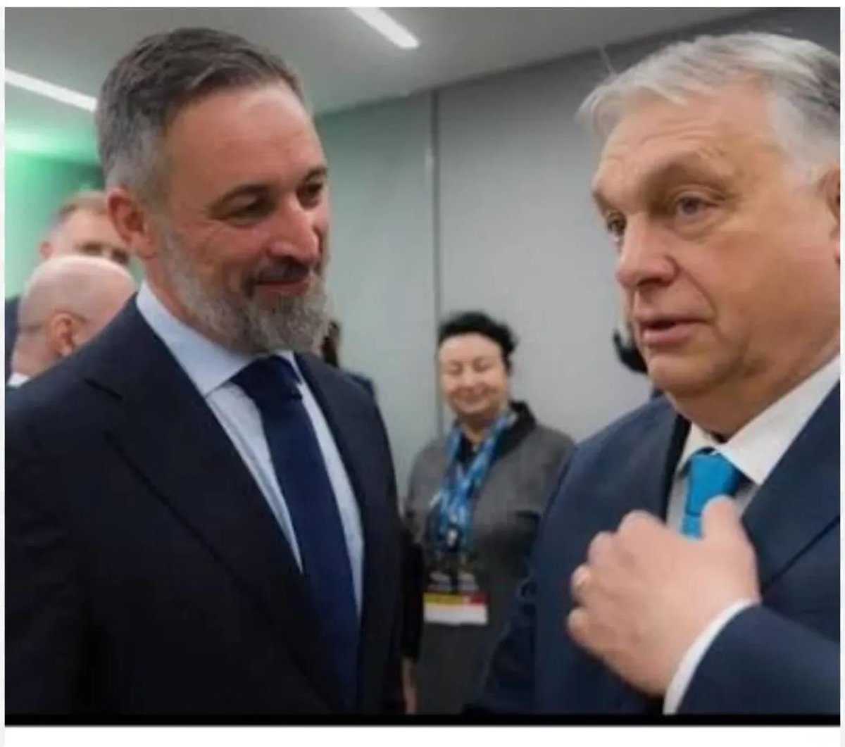 Boniatobill🔻☮️😇 tweet media