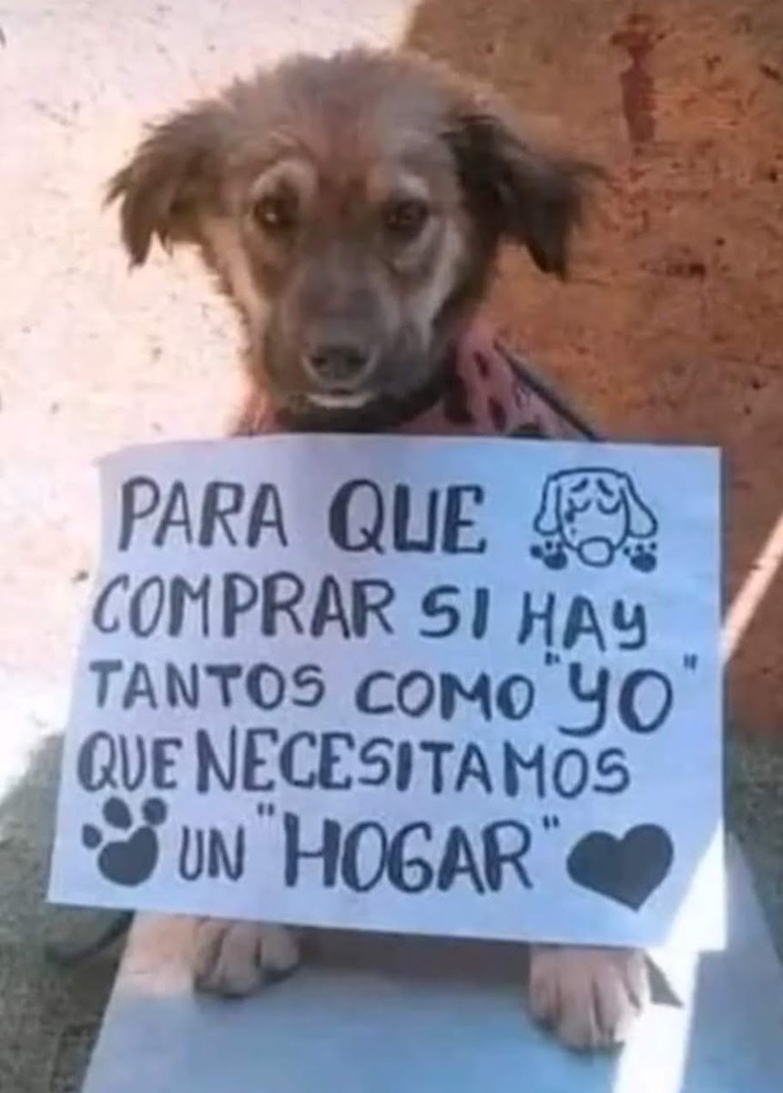 ¡¡Apoyamos totalmente lo que dice!!