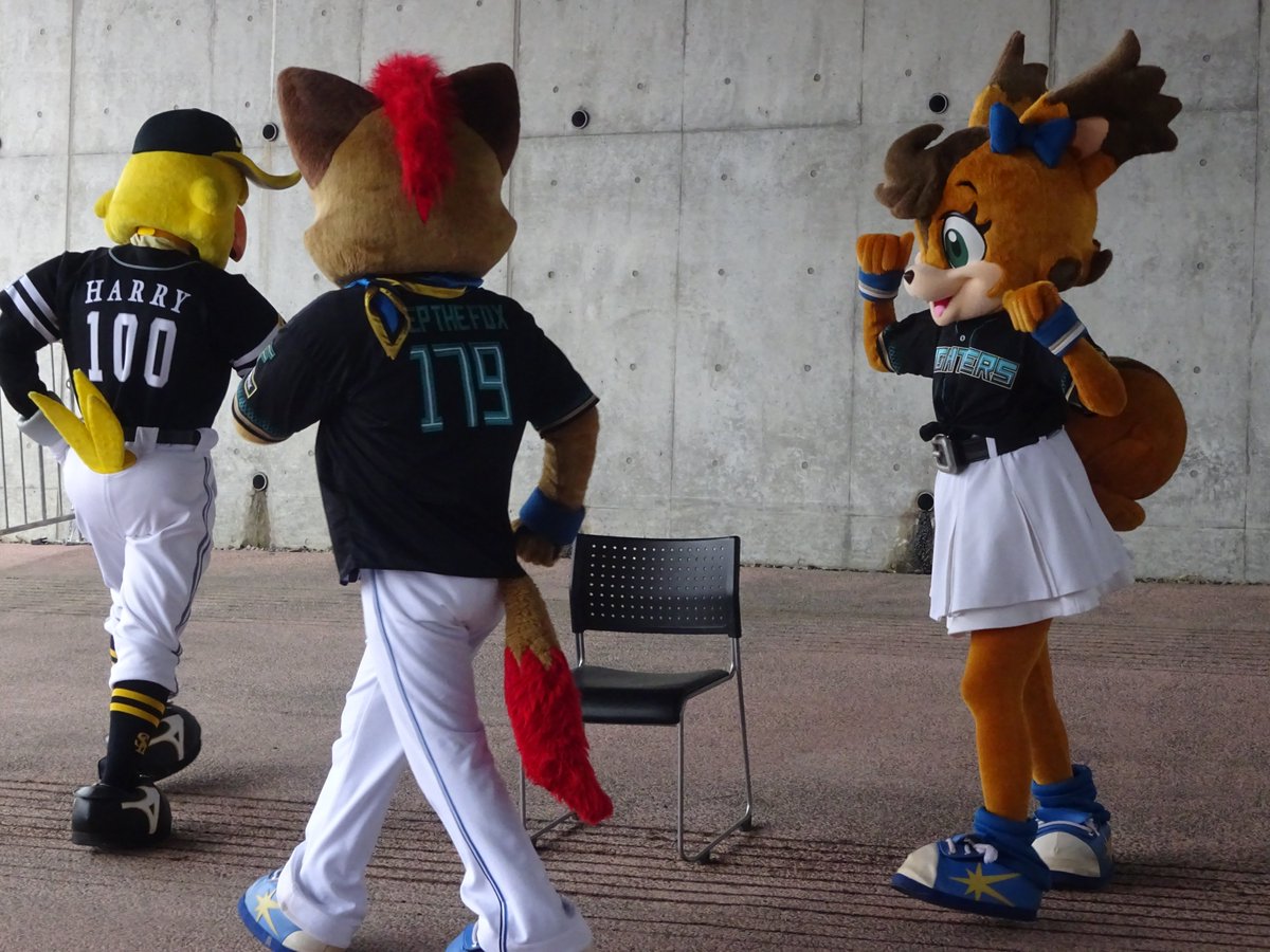 龍星丸龍哉 tweet media