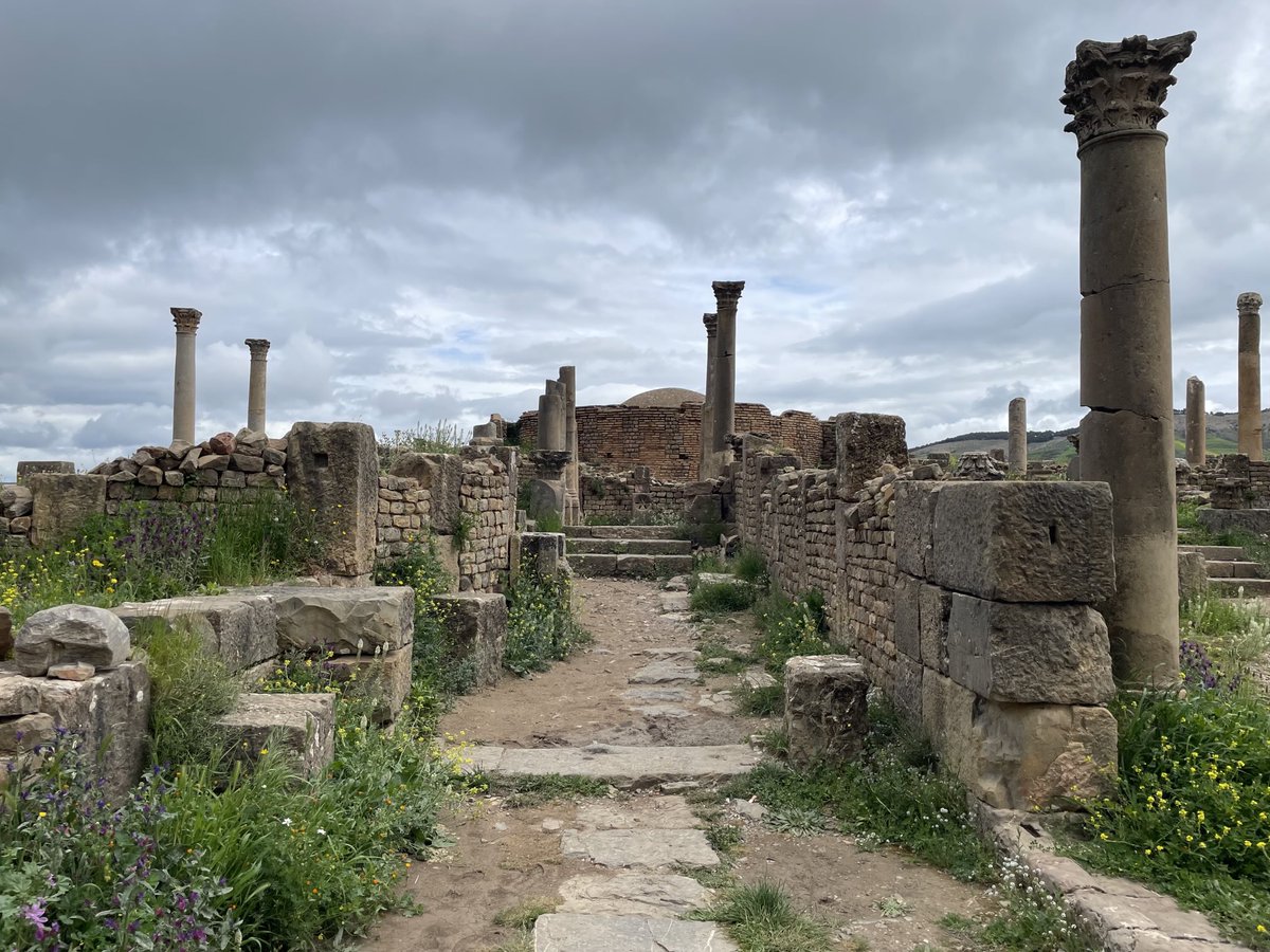 roberto_rlnrrt's tweet photo. Sì, viaggiare! Algeri, Costantina, Djemila, Tikjda (Algeria) https://t.co/ISB4hurYFe