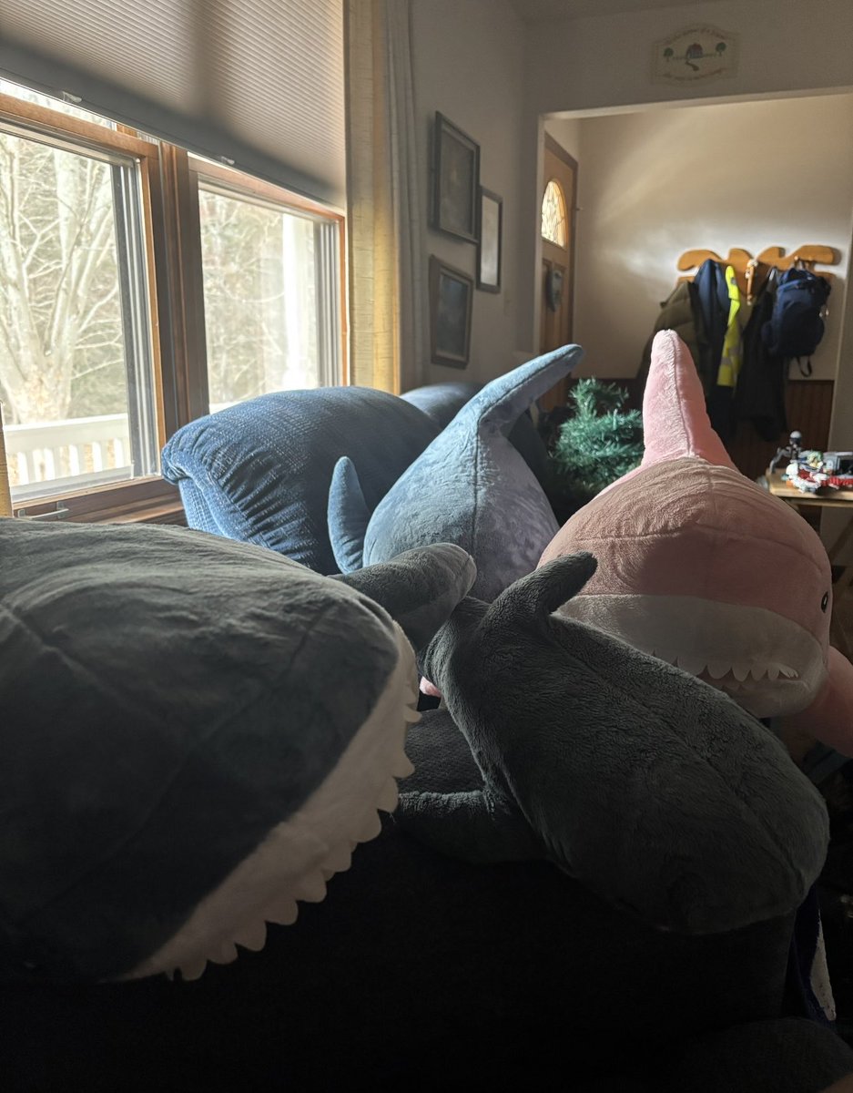 Blåhaj Queen Katie:3 tweet media