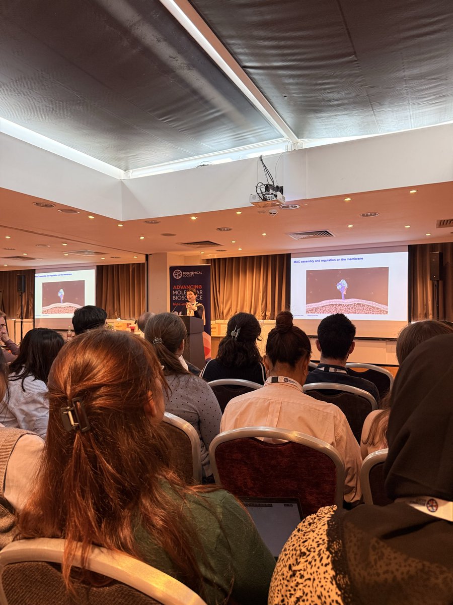 XenosInScience's tweet photo. Had a great time at the Membrane proteins last week organised by @BiochemSoc - also Browming lab from @AstonUniversity presented incredible flash talks and posters ✨ https://t.co/zomBHriQ60
