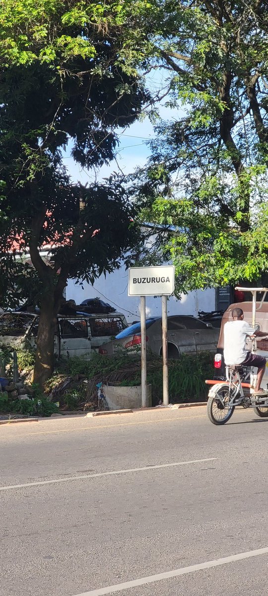 Prolific 🏁 tweet media