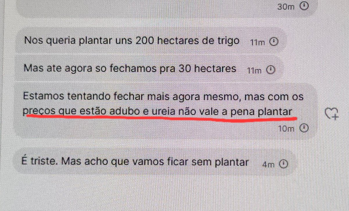 Rafaela Romano tweet media