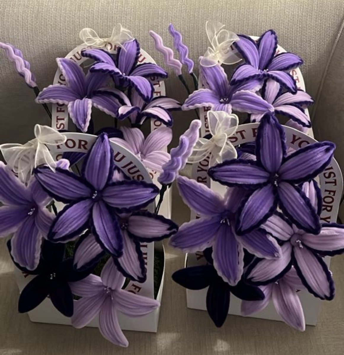 فــيلار tweet media