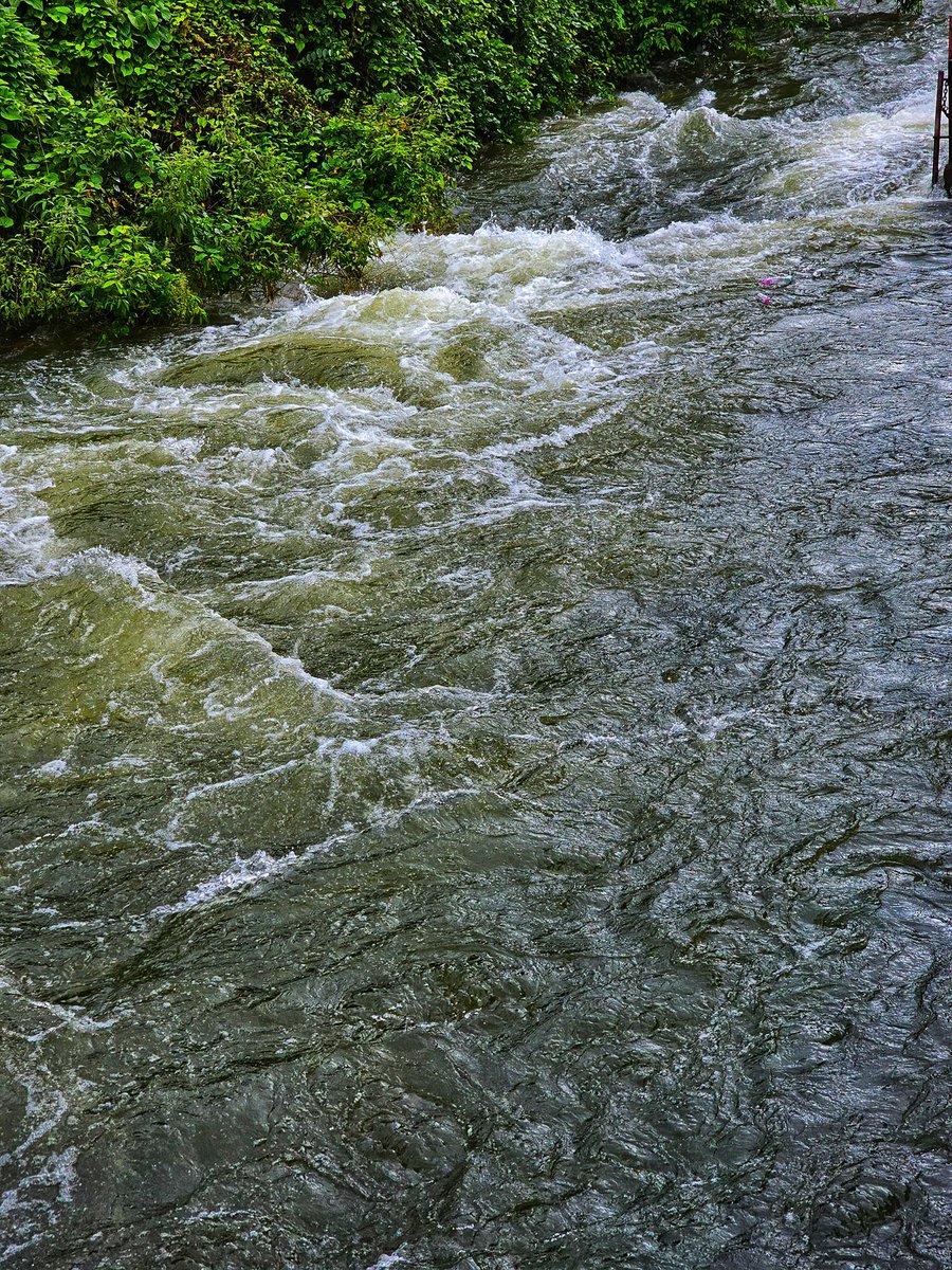 𝐕𝐈𝐃𝐘𝐀🇮🇳🚩 tweet media