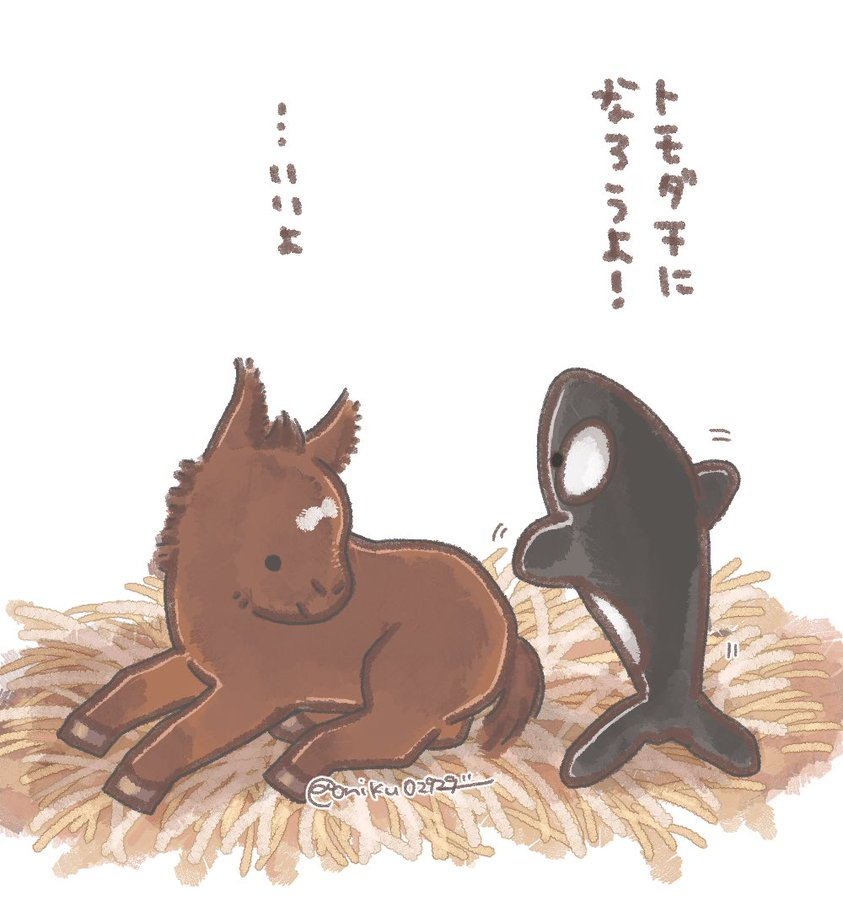 S◎LF (trading arc) tweet media