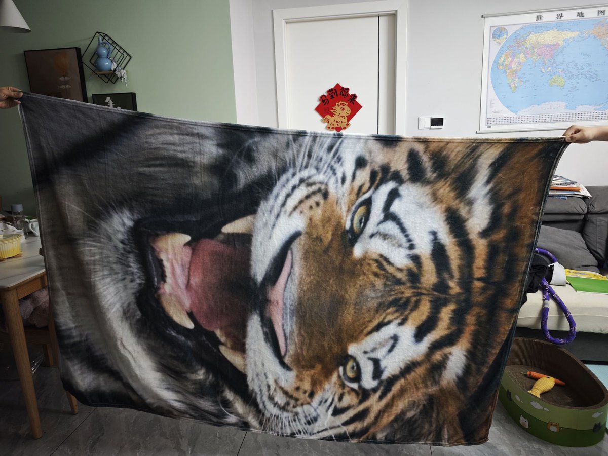 ericlin2017's tweet photo. Roaring quality! 🐯🔥

Freshly finished custom flannel blanket for a customer in Estonia. ✅ 5-day production ✅ High-definition print ✅ Worldwide shipping
Create your own masterpiece: 👉 https://t.co/3GMNQ2tImy
#GiniFab #PersonalizedGifts #HomeDecor #CustomMade https://t.co/gnHZi5M2Ul