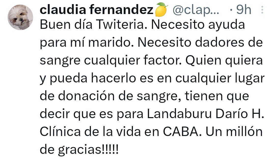 claudia fernandez🍋 tweet media