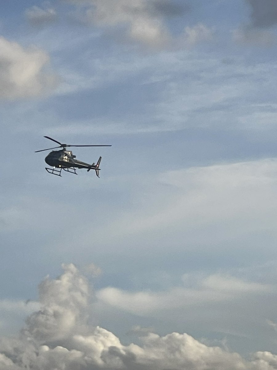 Iron Lady. (African Jacana) tweet media