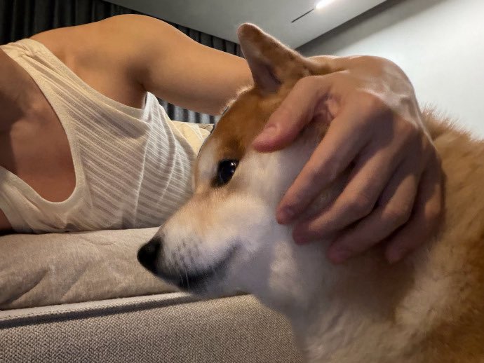 𝗺𝗮𝗿𝘀𝗵 tweet media