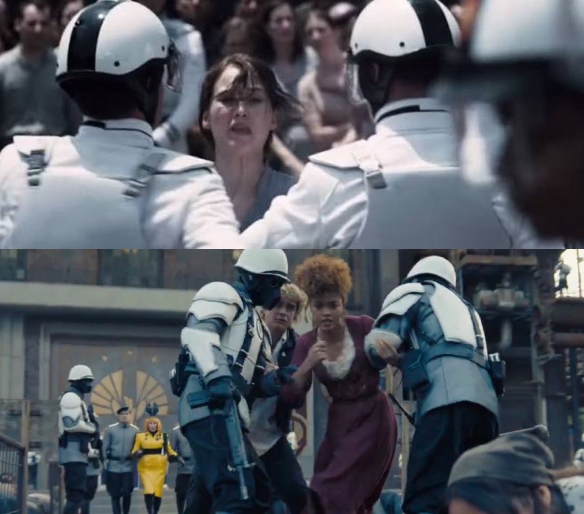 Sunrise on the Mare 𓅭 𓅮 𓅯 tweet media