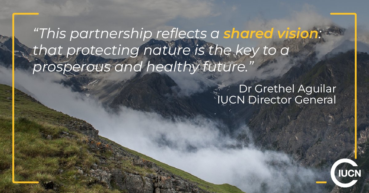 IUCN's tweet image. 🤝 Switzerland &amp;amp; IUCN have renewed their partnership — reaffirming a decades-long commitment to #nature, #conservation, and sustainable development.

A continued pledge to safeguard nature as the foundation for resilient, sustainable societies. 🌿

🔗 info.iucn.org/4sygUWW