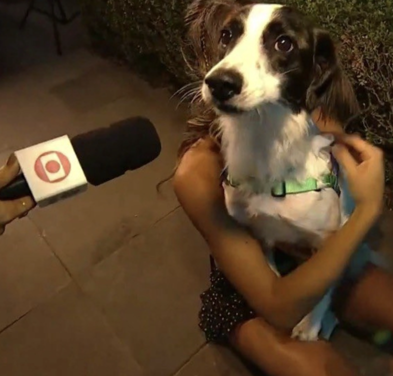 posso fala? #iFoodNoBBB26 #BBB26