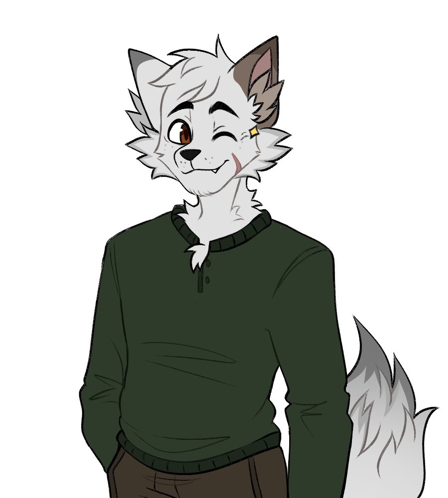 Daily Theo tweet media