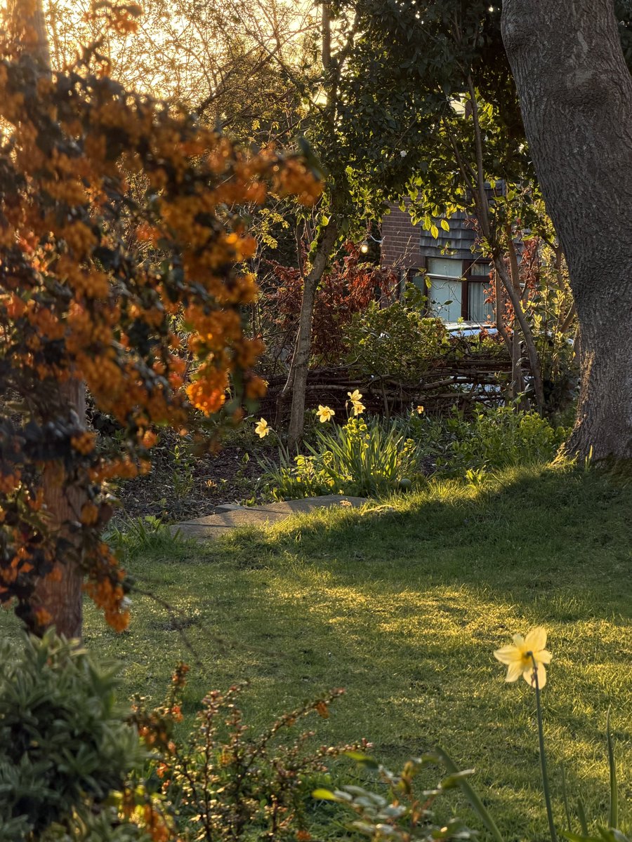 golden hour in the english countryside <3