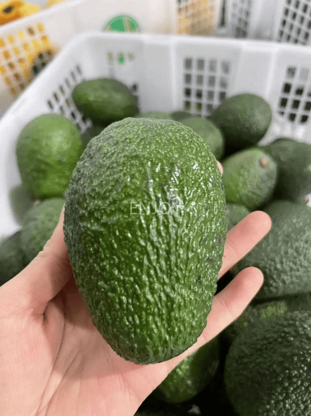 Jennifer Gardner tweet media