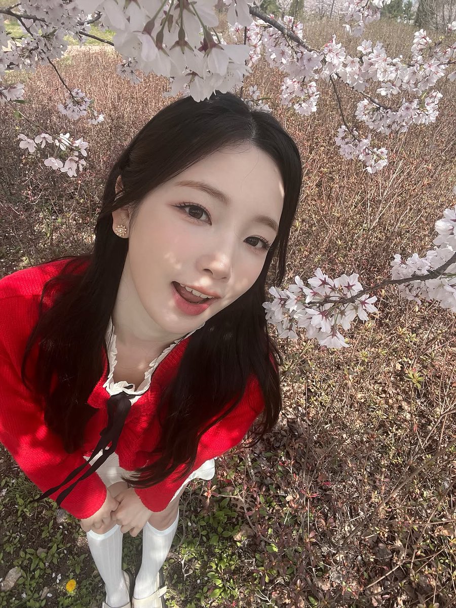 kagakusha tweet media