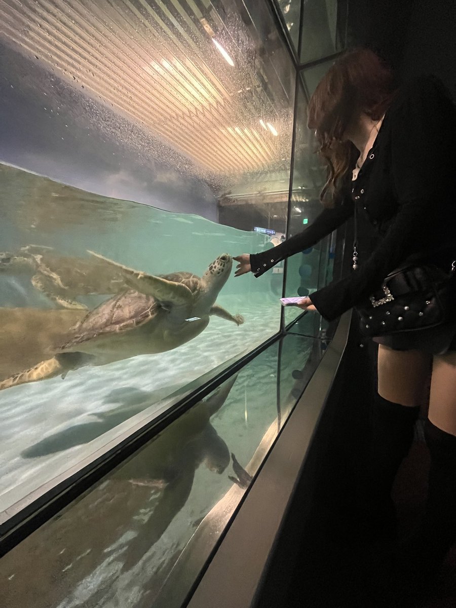 もんち tweet media