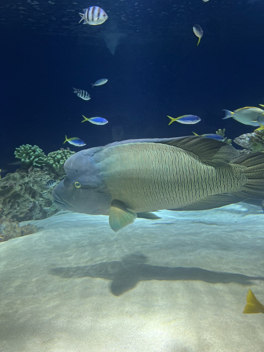 もんち tweet media