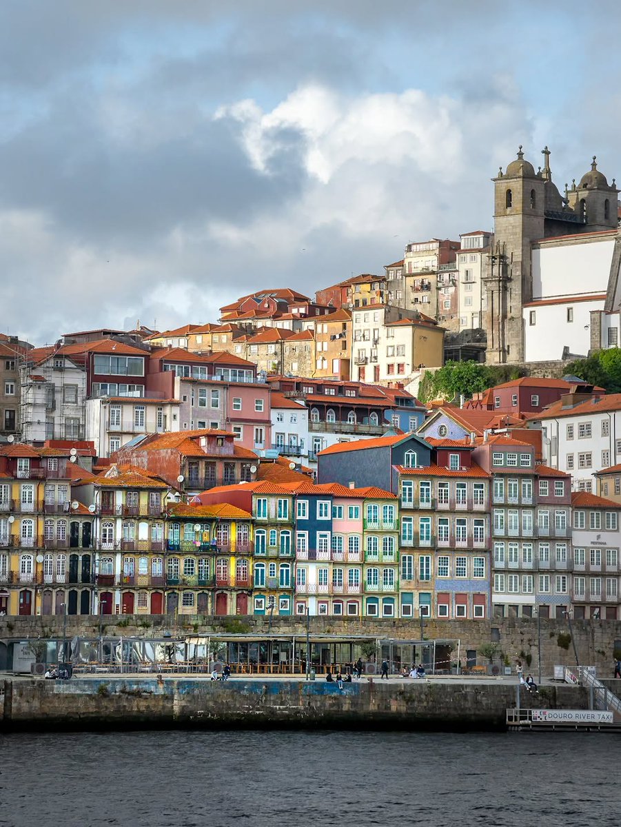 Nature Feels Only tweet media