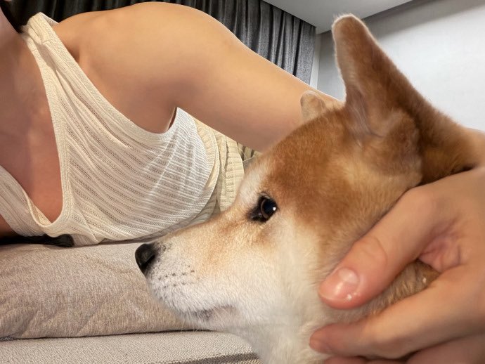 𝗺𝗮𝗿𝘀𝗵 tweet media