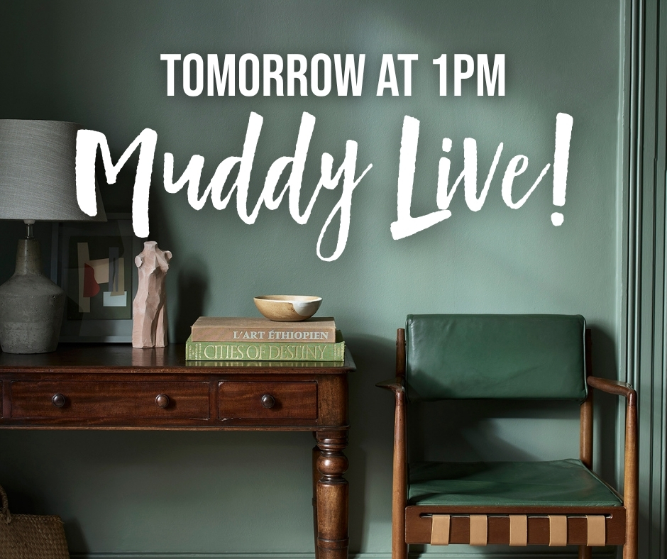 Lisa - Muddy Devon tweet media