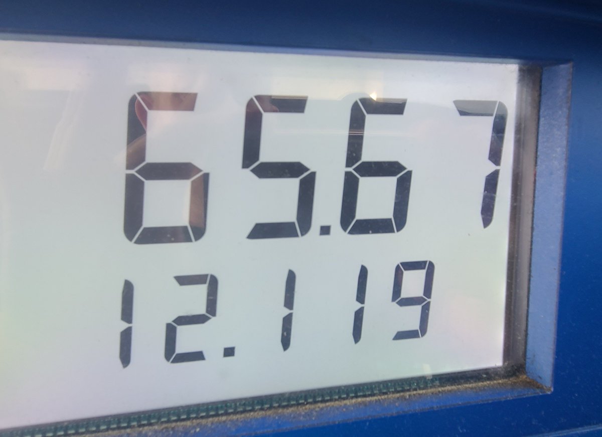 PNWForestKing tweet media