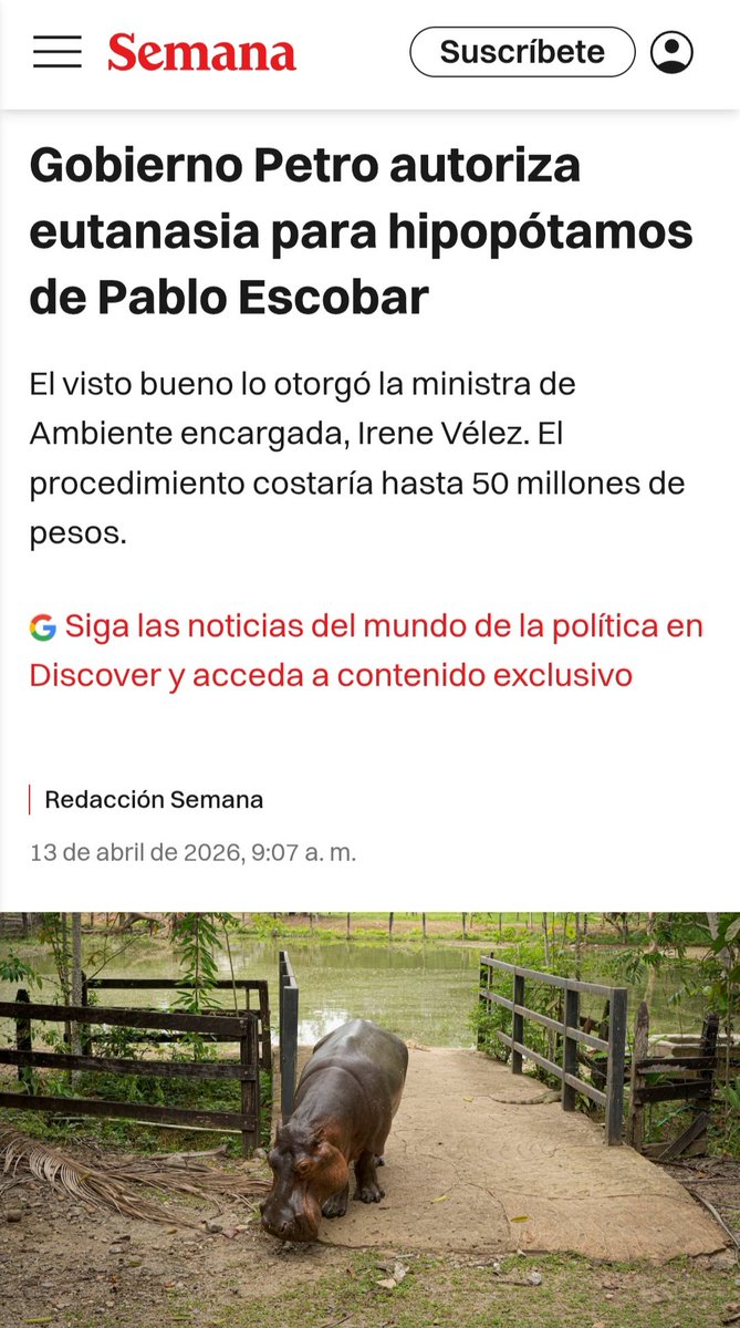 <a href="/IreneVelezT/">Irene Vélez-Torres</a> Este gobierno no solo mata a la oposicion, ya van a seguir con los hipopótamos de Puerto Triunfo