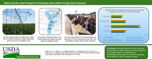 TheJornada's tweet photo. Reducing the water footprint of finishing beef cattle through feed selection"
https://t.co/9atPacXkKl https://t.co/UB5X3btHn8