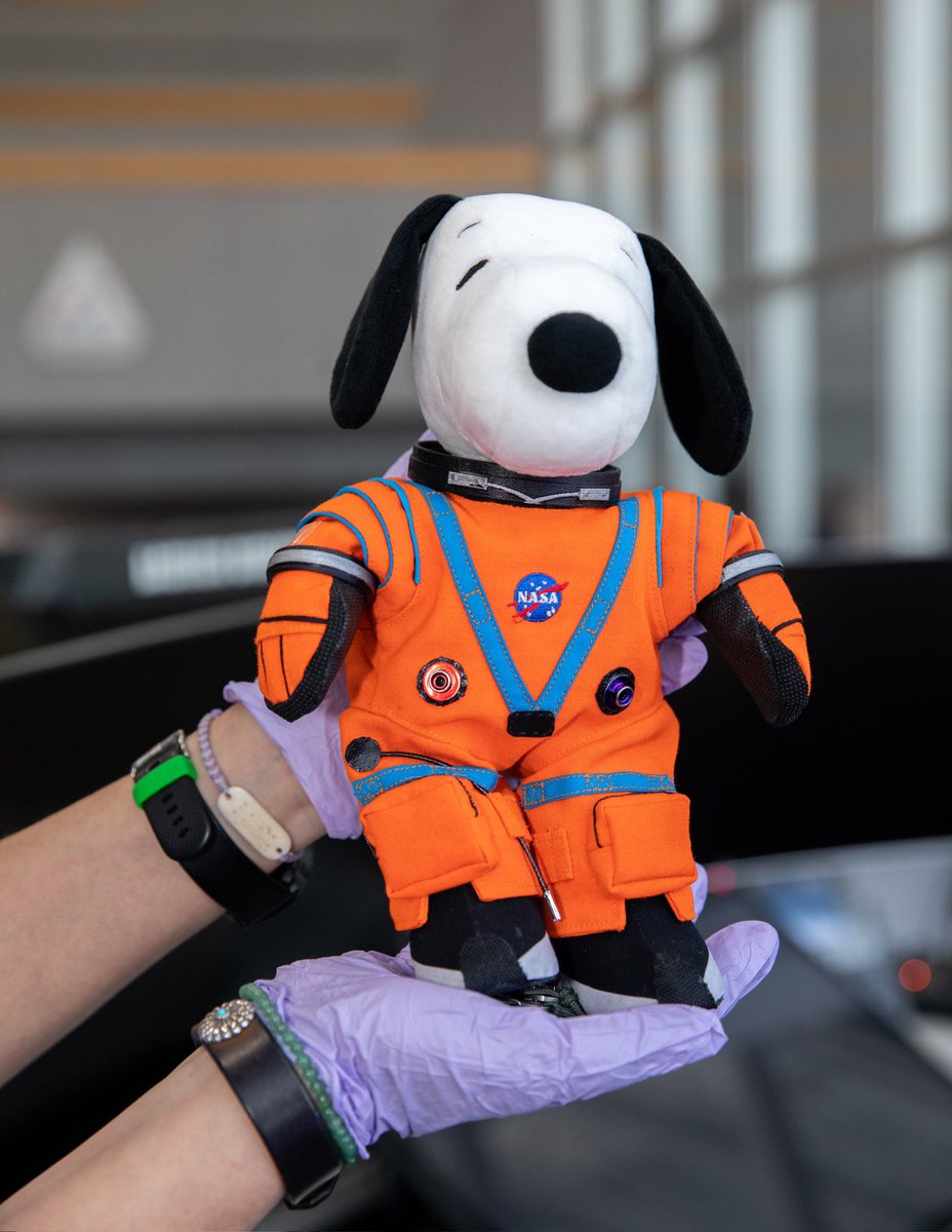 Bleed blue snoopy tweet media