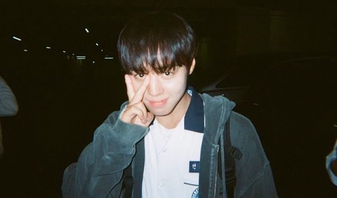 볼펜쥔햄스터 tweet media