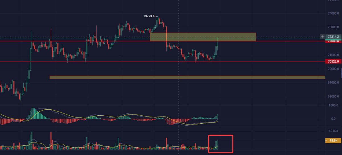 小老虎 tweet media