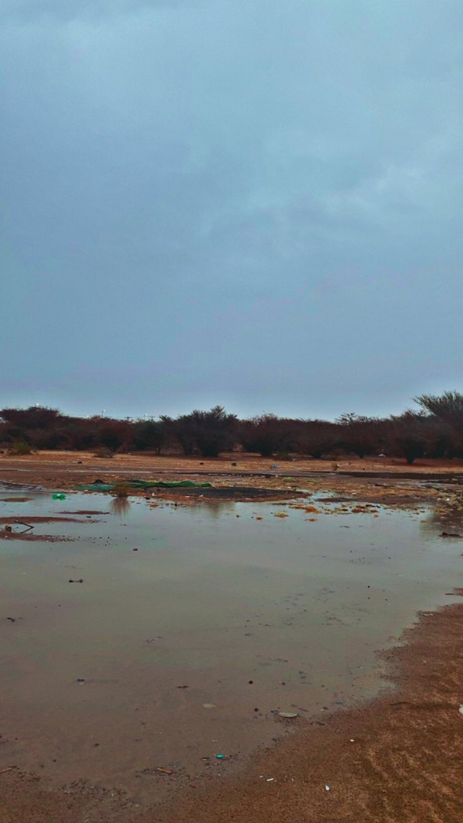 تَوَّاق tweet media