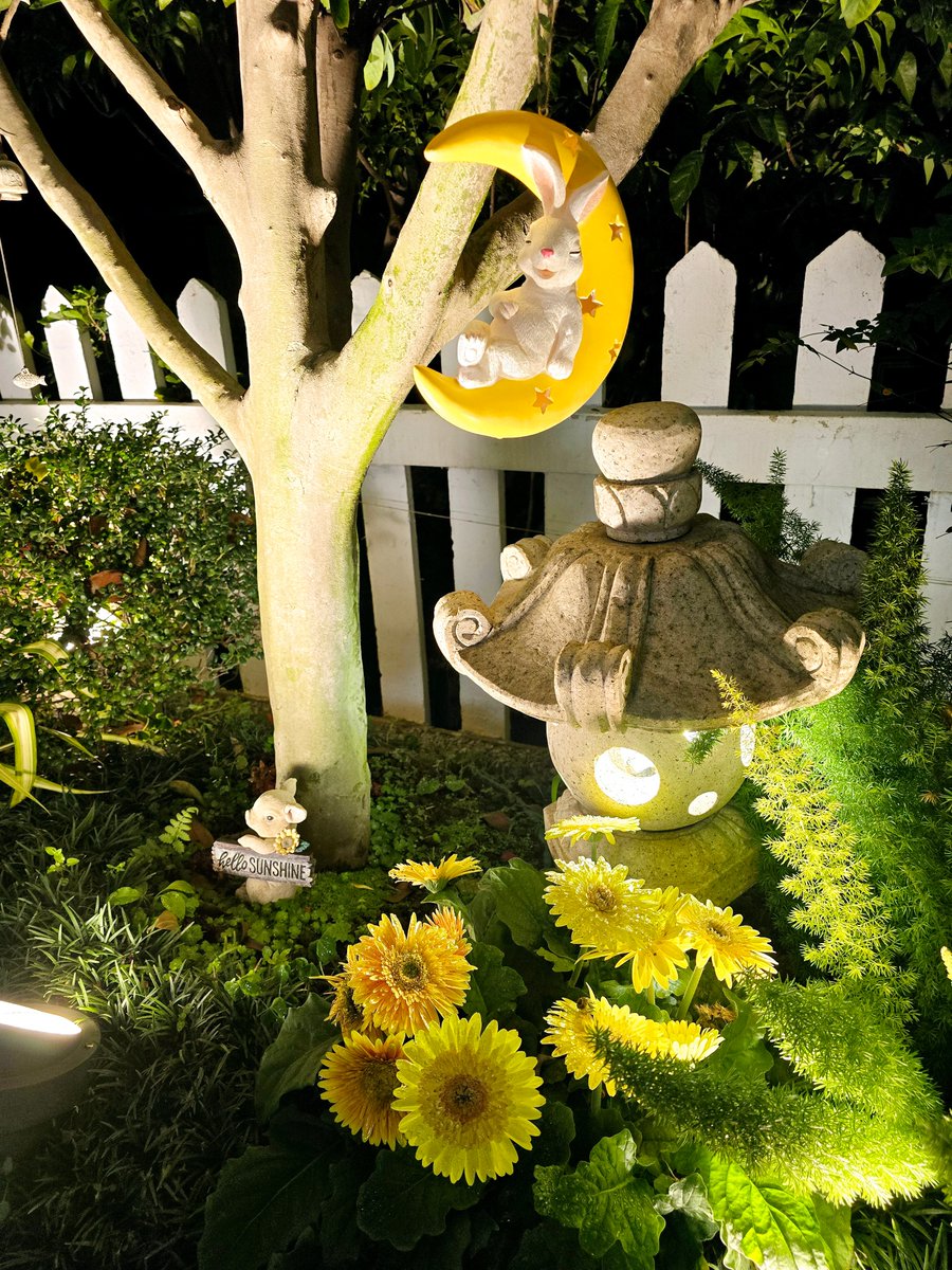 Amadeus Kamagenge tweet media