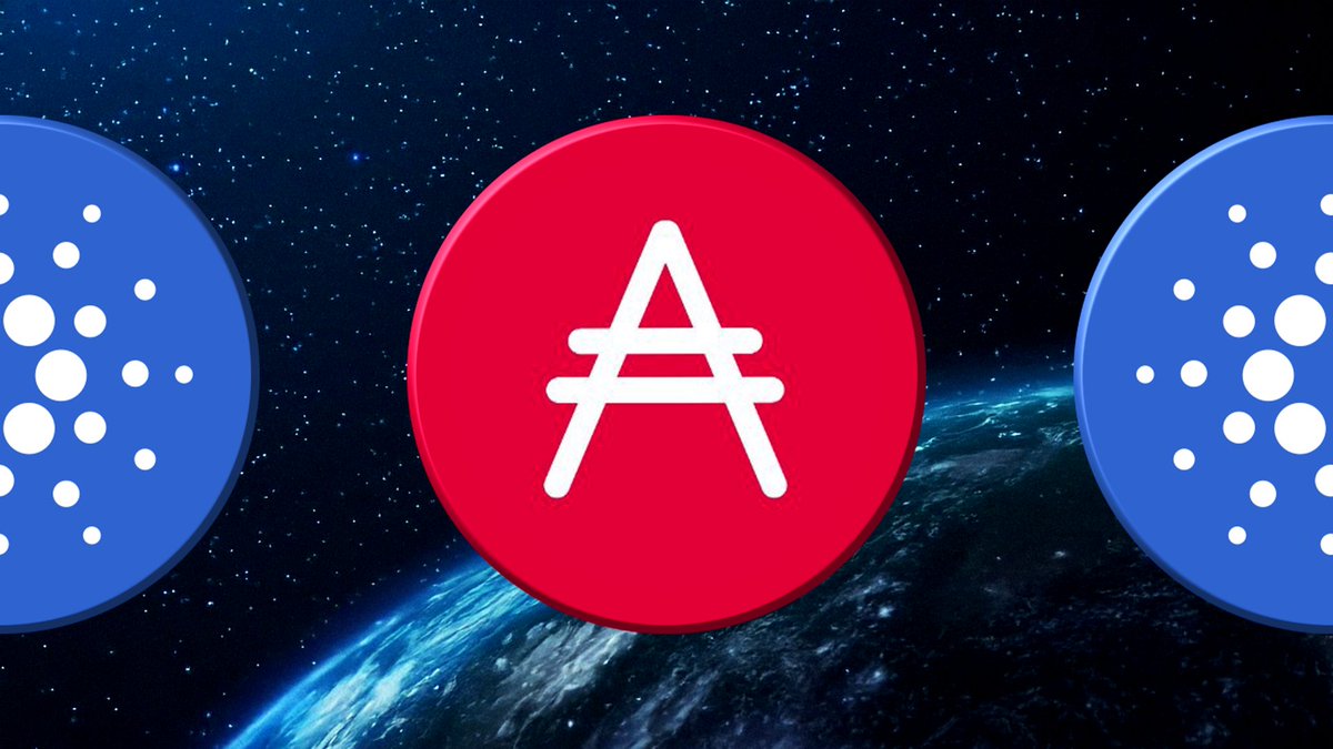 angrycryptoshow's tweet image. JUST IN: Midnight $NIGHT surpasses 66,000 unique holders on #Cardano according to Cexplorer.