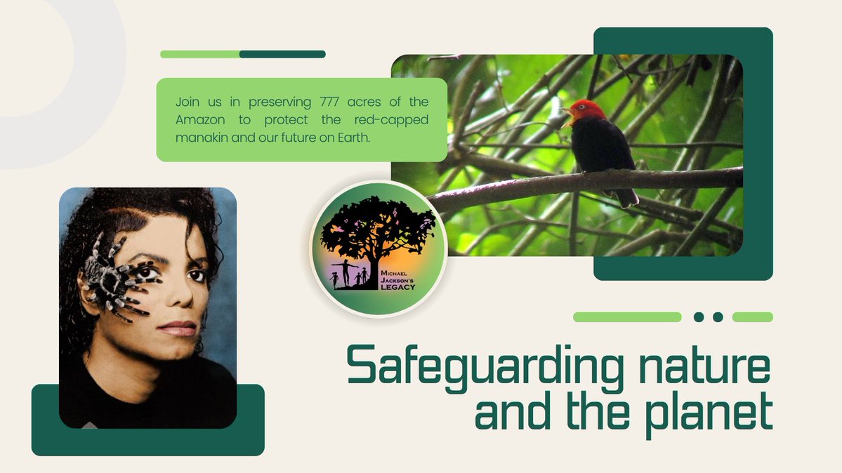 MichaelJsLegacy's tweet image. Learn more:
michaeljacksonslegacy.org/protect-the-ra…

Donate here:
hello@michaeljacksonslegacy.org
